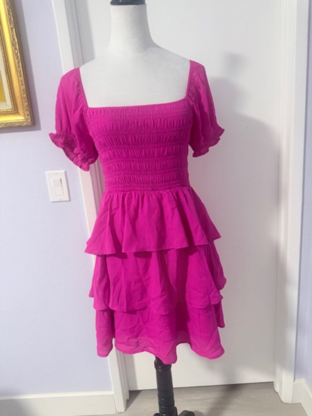 Francesca's Collections Hot pink smoked top bodices, layers mini dress